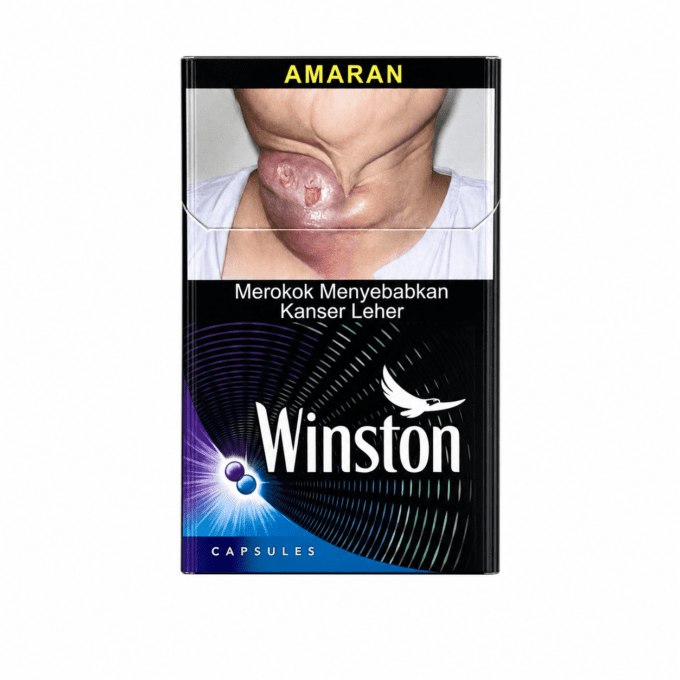WINSTON（10盒）代购